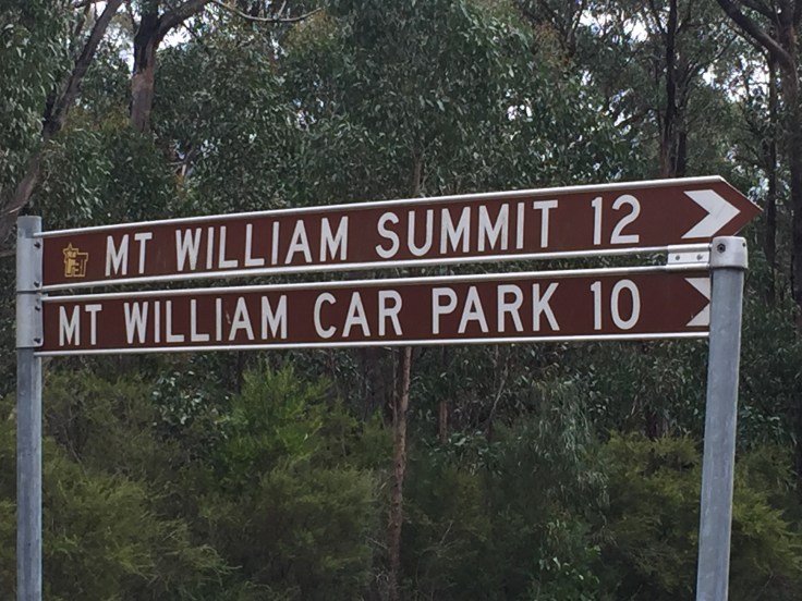 File 11-7-17, 10 06 48 pm