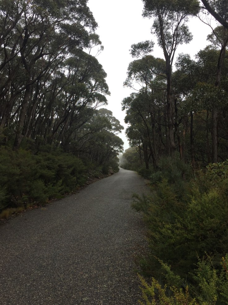 File 11-7-17, 10 53 42 pm