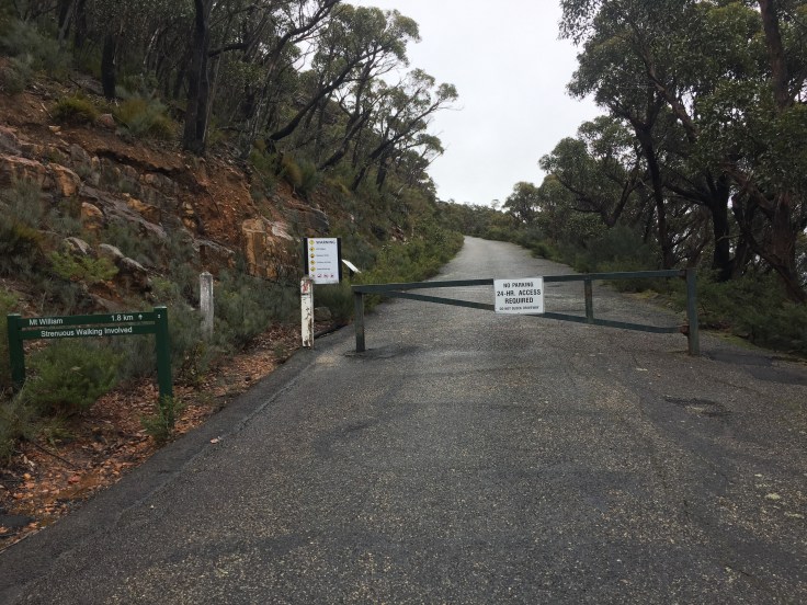 File 11-7-17, 11 20 37 pm