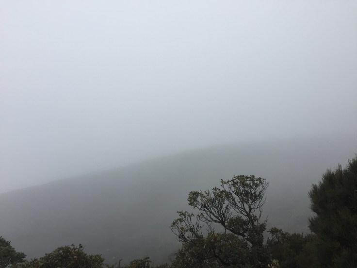 File 12-7-17, 12 11 59 am