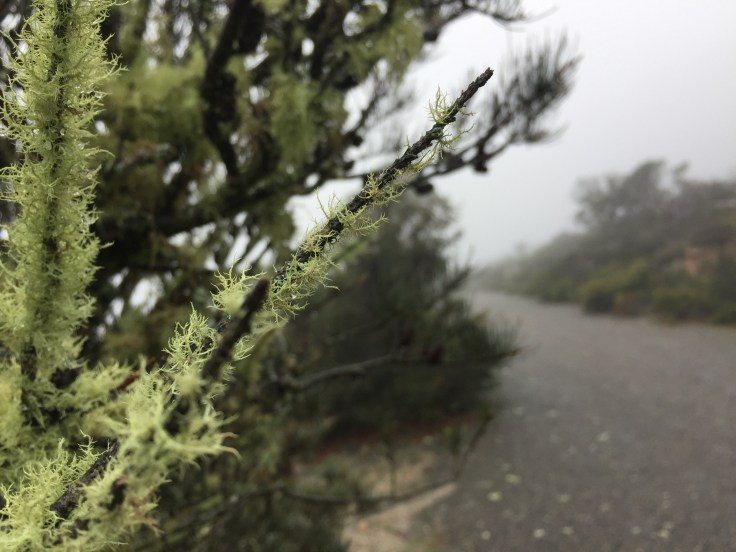 File 12-7-17, 12 27 03 am