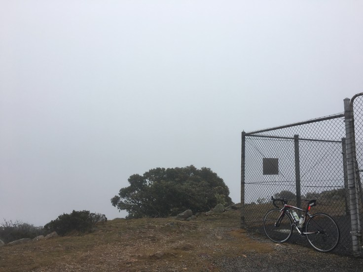 File 12-7-17, 12 42 38 am